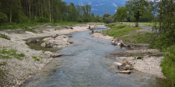 Revitalisierung/Strukturierung Werdenberger Binnenkanal, Buchs